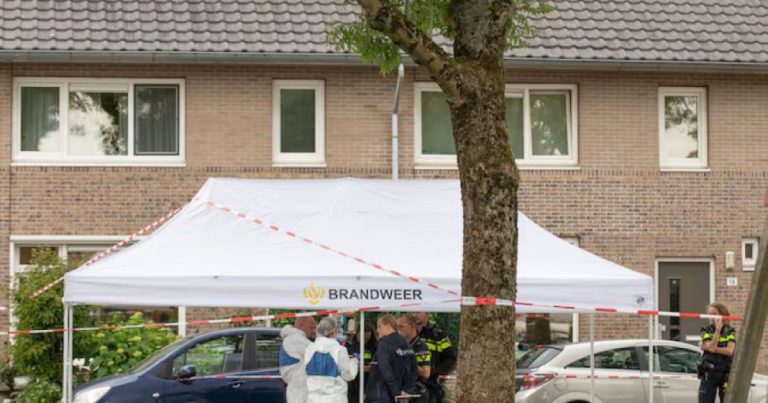 https://www.nezavisne.com/novosti/hronika/DNK-muskarca-iz-BiH-pronadjen-na-ubijenoj-Nizozemka/967342