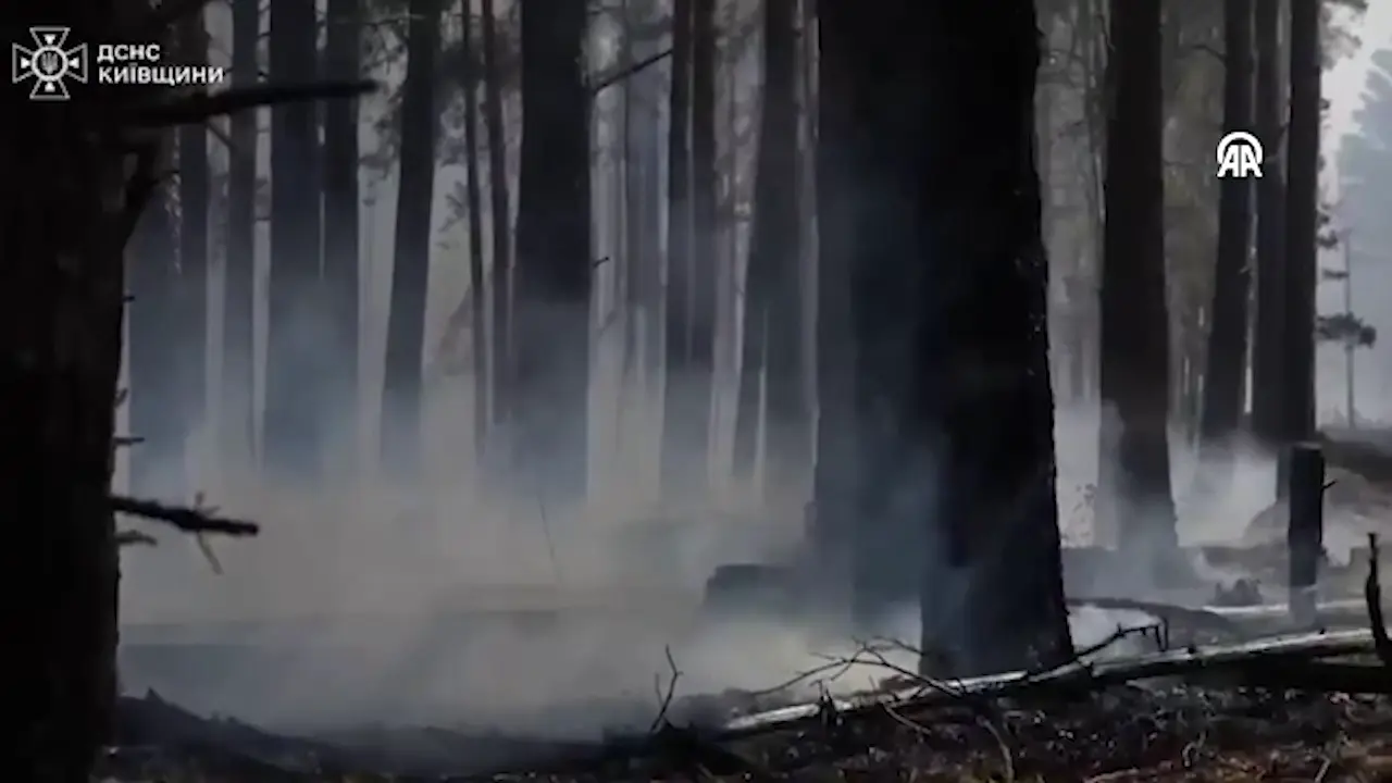 Masovni šumski požar izbio u Černobilskoj zoni isključenja u Ukrajini