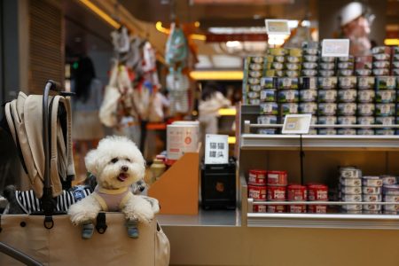 Više od polovine porodica živi s kućnim ljubimcem, industrija poziva na smanjenje PDV-a na 10 posto