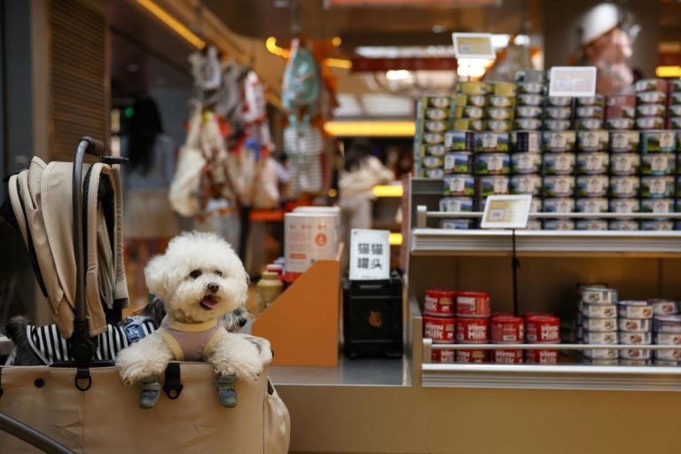Više od polovine porodica živi s kućnim ljubimcem, industrija poziva na smanjenje PDV-a na 10 posto Više od polovine porodica živi s kućnim ljubimcem, industrija poziva na smanjenje PDV-a na 10 posto