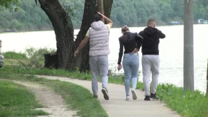 Najezda komaraca u Brčkom: Građani izbjegavaju boravak na otvorenom