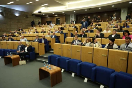 Predstavnički dom prihvatio prijedlog zakona o Novoj Željezari Zenica