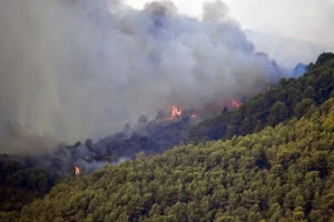 Francuska i Španija vode utrku s vremenom u borbi protiv velikih šumskih požara prije novog toplotnog vala