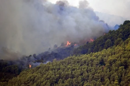 Francuska i Španija vode utrku s vremenom u borbi protiv velikih šumskih požara prije novog toplotnog vala
