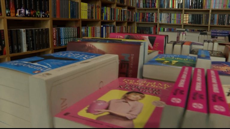 Šta se čita ovog ljeta: Od klasika i biografija do popularnih novih romana