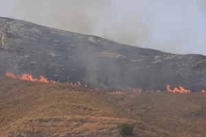 Šumski požari na italijanskom ostrvu Sicilija