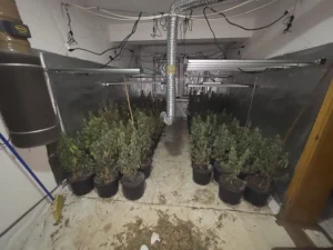 U akciji Šibica uhapšen 37-godišnjak, pronađene tri laboratorije i droga