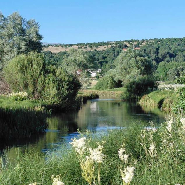 Livno ovog ljeta ima adute koje turisti sve više traže: divlji konji, Sturba i sir
