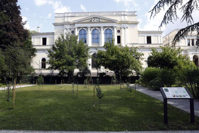 Bordanić Kobilica: Botanički vrt Zemaljskog muzeja je živi muzej koji čuva blago bh. prirode Bordanić Kobilica: Botanički vrt Zemaljskog muzeja je živi muzej koji čuva blago bh. prirode