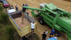 Ratari nezadovoljni: Dobar urod, ali loša otkupna cijena pšenice