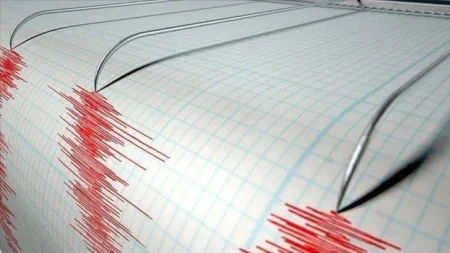 Snažan zemljotres pogodio Meksiko: Izdato upozorenje na cunami nakon potresa jačine 7,4 stepena