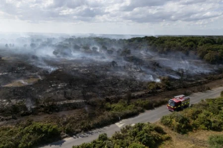 Novi toplotni val zahvatio Britaniju: Vlada saziva hitni sastanak zbog požara i suše Novi toplotni val zahvatio Britaniju: Vlada saziva hitni sastanak zbog požara i suše