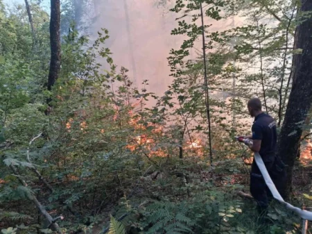 Aktivan požar na području Općine Kladanj Aktivan požar na području Općine Kladanj