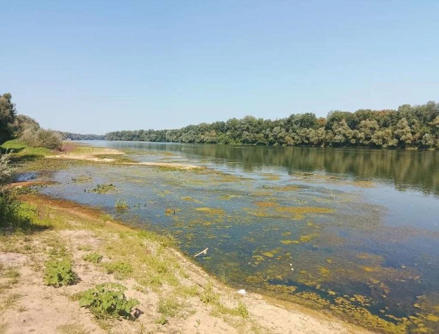 Izuzetno nizak vodostaj Save otežava plovidbu svim korisnicima rijeke