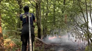 Vatra prijetila kućama u Sanskom Mostu, vatrogasci spriječili najgore