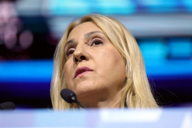 Cvijanović optužila Suljagića za napad na ustavni poredak: To je klasična manipulacija Cvijanović optužila Suljagića za napad na ustavni poredak: To je klasična manipulacija