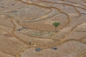 Super El Niño mogao bi u narednih šest mjeseci uzrokovati 450.000 smrtnih slučajeva