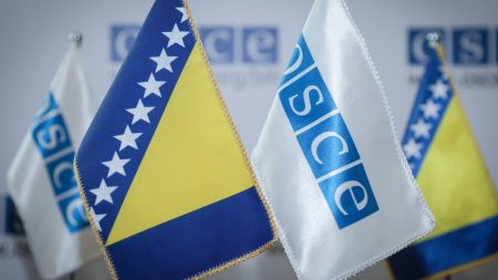 Rus Stepan Golovin dolazi na mjesto zamjenika šefa Misije OSCE-a u BiH