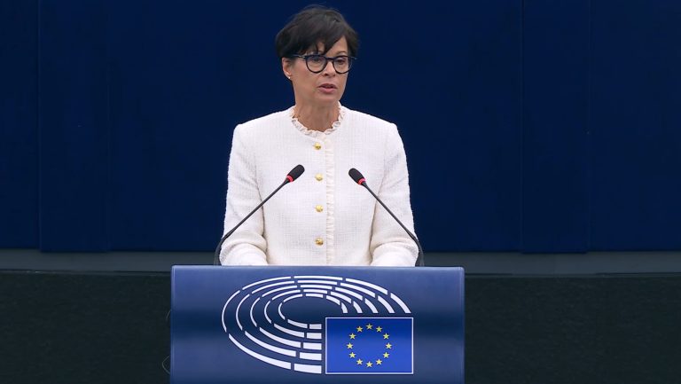 Evropski parlament: Veličanje Ratka Mladića nije u skladu s EU vrijednostima Evropski parlament: Veličanje Ratka Mladića nije u skladu s EU vrijednostima