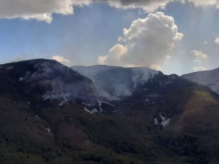 OS BiH nastavljaju angažman na gašenju požara na području Blidinja OS BiH nastavljaju angažman na gašenju požara na području Blidinja