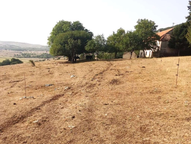 Udruženje poljoprivrednika FBiH traži proglašenje stanja elementarne nepogode zbog suše Udruženje poljoprivrednika FBiH traži proglašenje stanja elementarne nepogode zbog suše