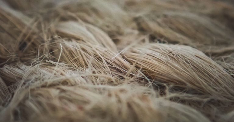 Povratak celuloze: papir nalik na plastiku