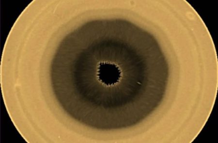 Saturn nema jednu, već dvije oluje geometrijski pravilnog oblika